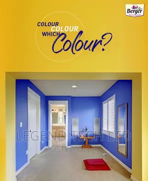 Professional Painting of Buildings Designs
