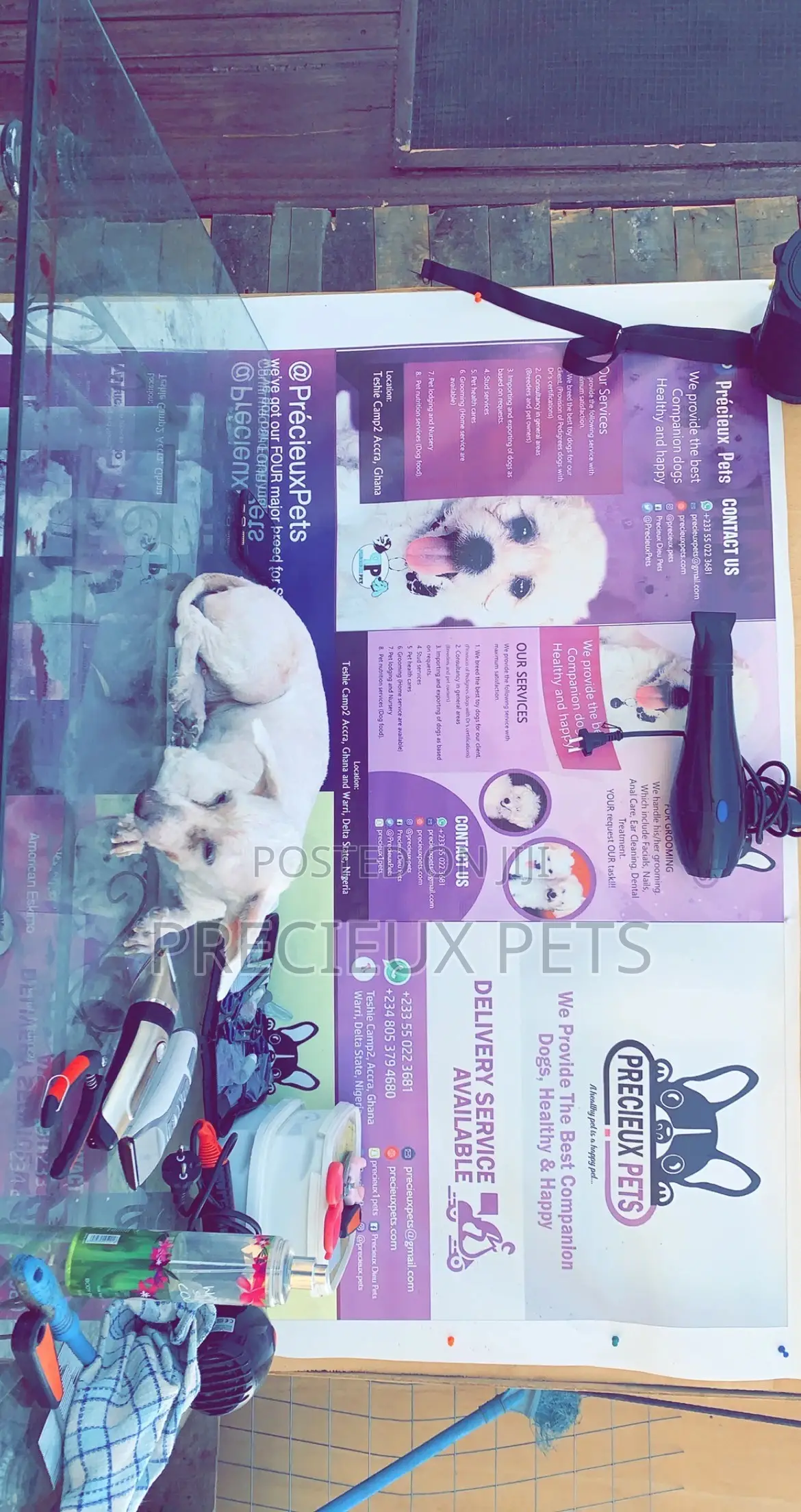 Pet Grooming (Kennel’S Cut)