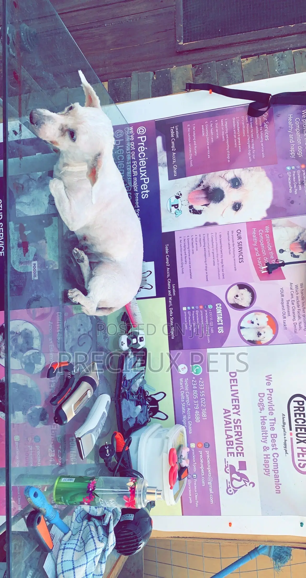 Pet Grooming (Kennel’S Cut)