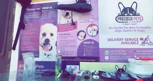 Grooming For Poodles