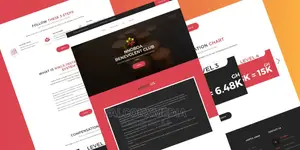 Professional Website