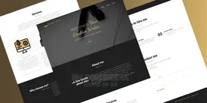 Professional Website