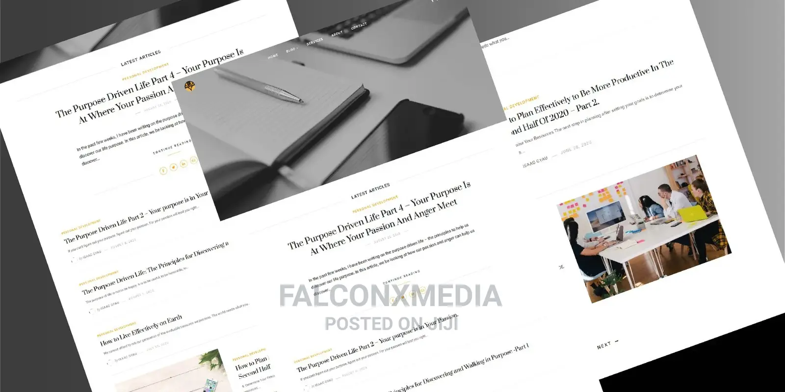 Professional Website