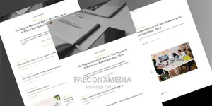 Professional Website