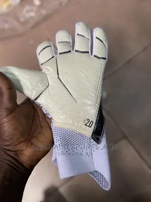 Original Predator Goalkeeper Gloves at Cool Price