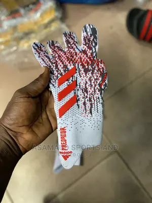 Original Predator Goalkeeper Gloves at Cool Price