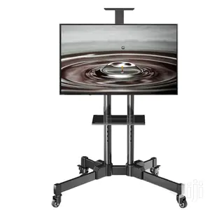 TV Stand With Shelves