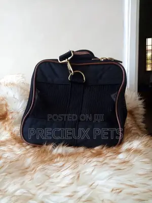Cats And Dogs Mobile Bags Black