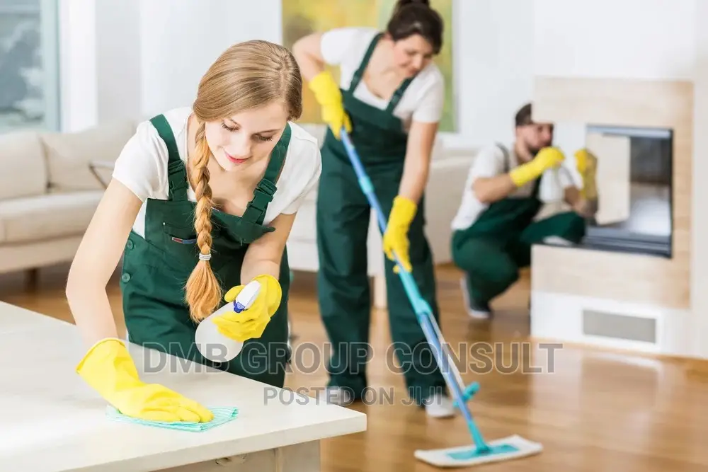 Home 2 Home Cleaners
