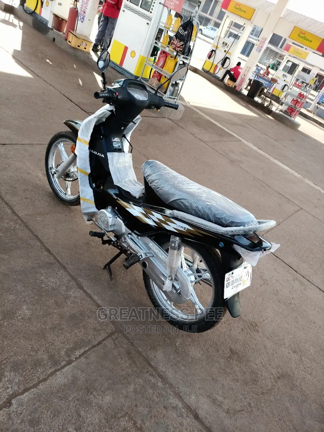 Luojia 110cc 2019 Gray