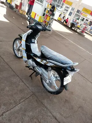 Luojia 110cc 2019 Gray