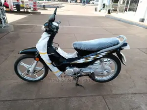 Luojia 110cc 2019 Gray