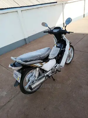 Luojia 110cc 2019 Gray