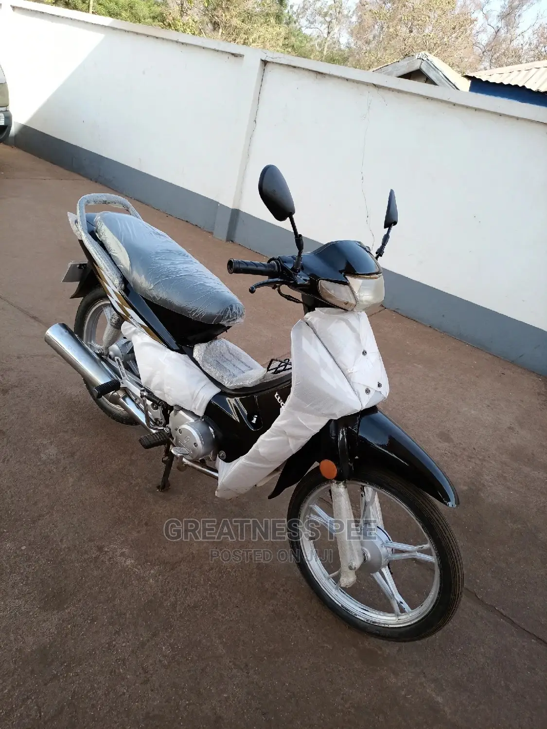 Luojia 110cc 2019 Gray