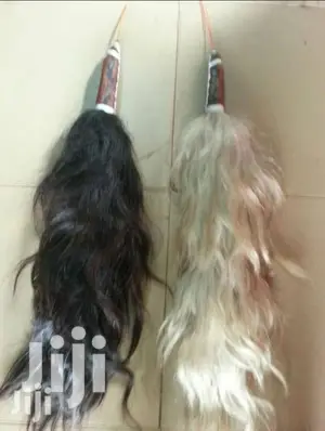 Original Horse Tail Horsetail