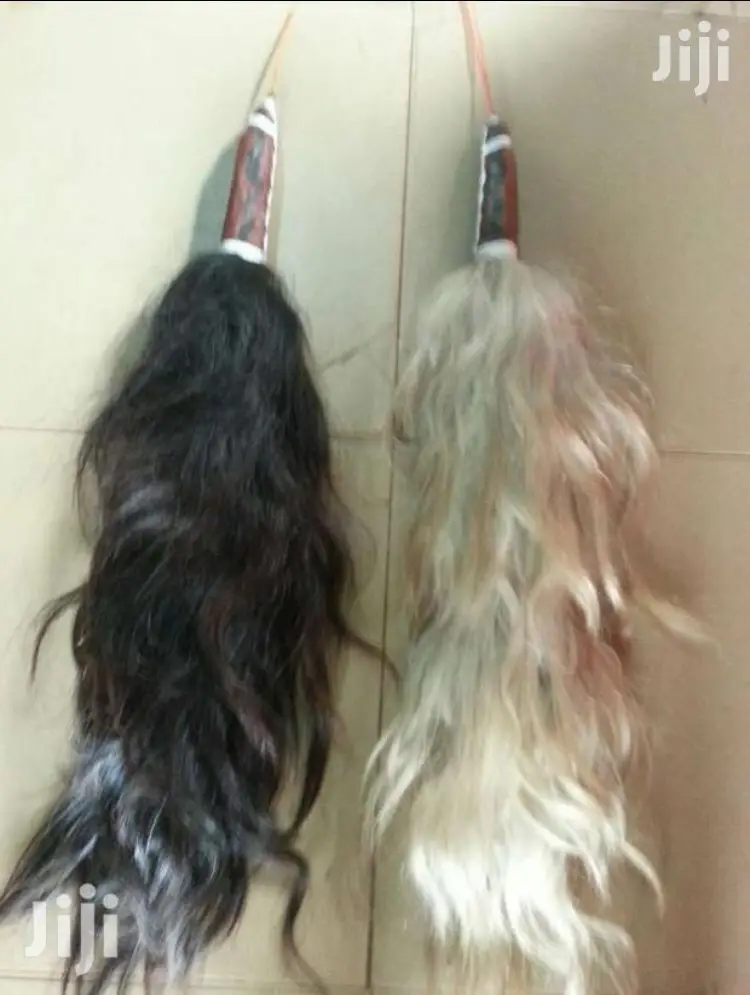 Original Horse Tail Horsetail