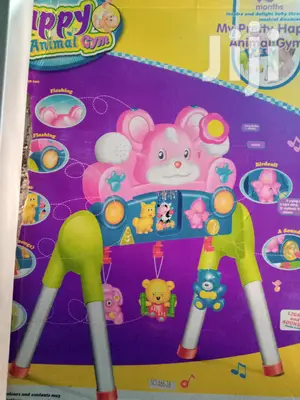 Baby Play Gym
