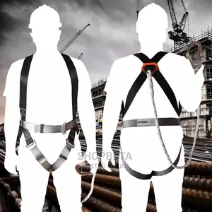 Fall Arrest Safety Gear