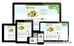 Website Design | Website Development