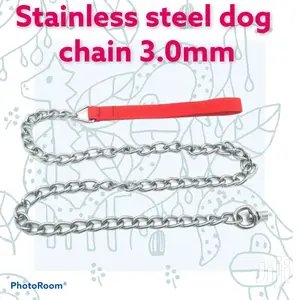 Stainless Steel Dog Chain