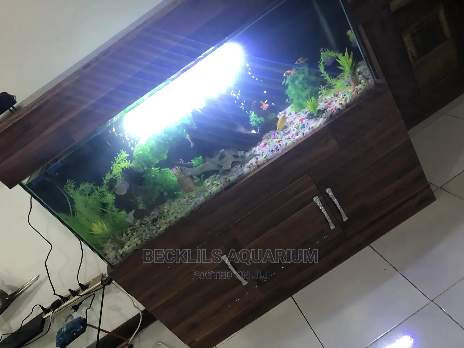 Package Aquarium