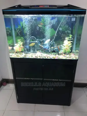 Package Aquarium