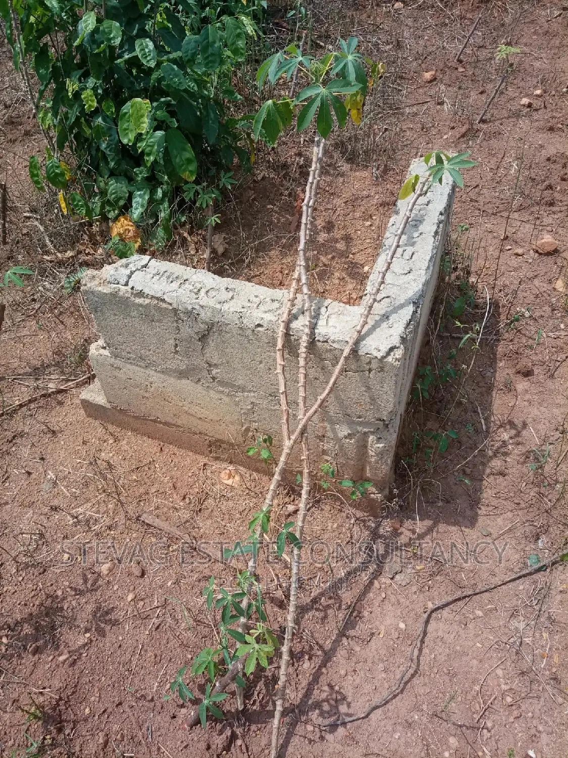 Alpha Estate License Land at Winneba Nsuakyiri Beach for Sale