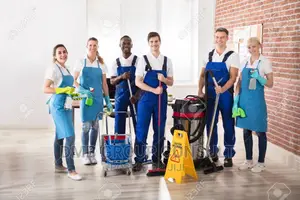 Door to Door Cleaners