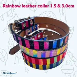 Rainbow Leather Collar for Adult Toy Dogs