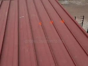 Roof Leakage Treatment