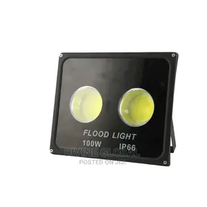 100W 2eye Flood Light