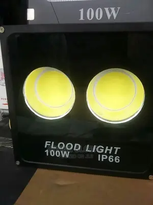 100W 2eye Flood Light