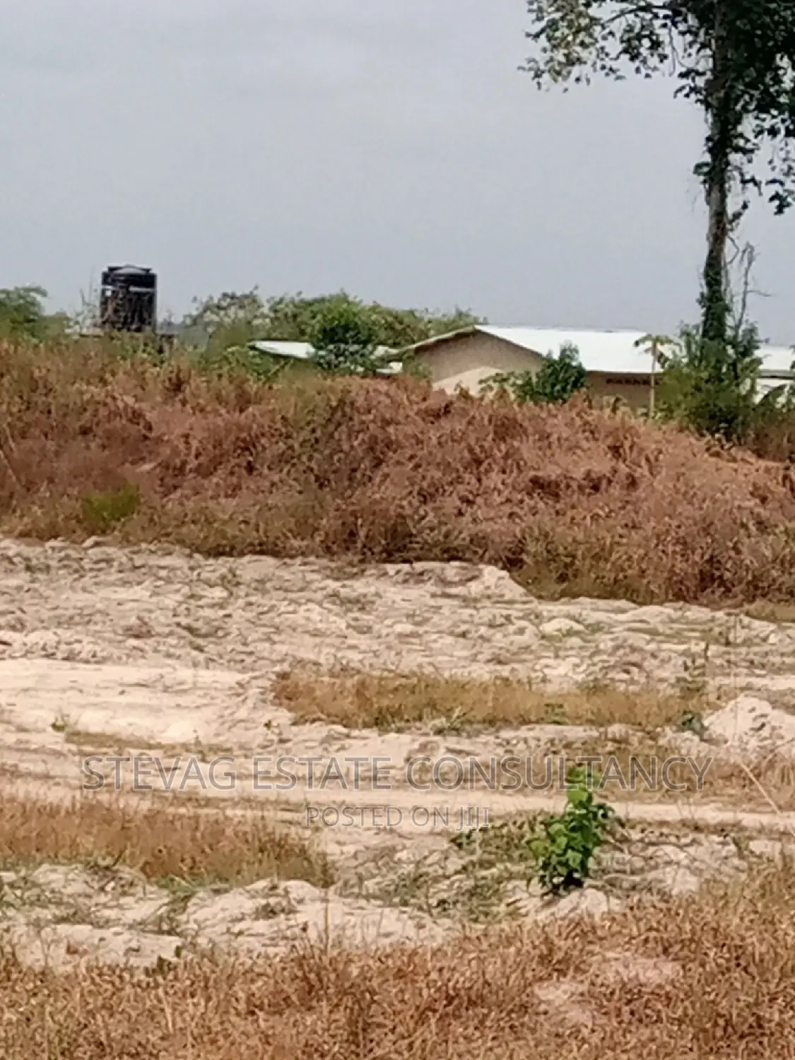 Alpha Properties Real Estate Land for Sale at Kasoa Akraman
