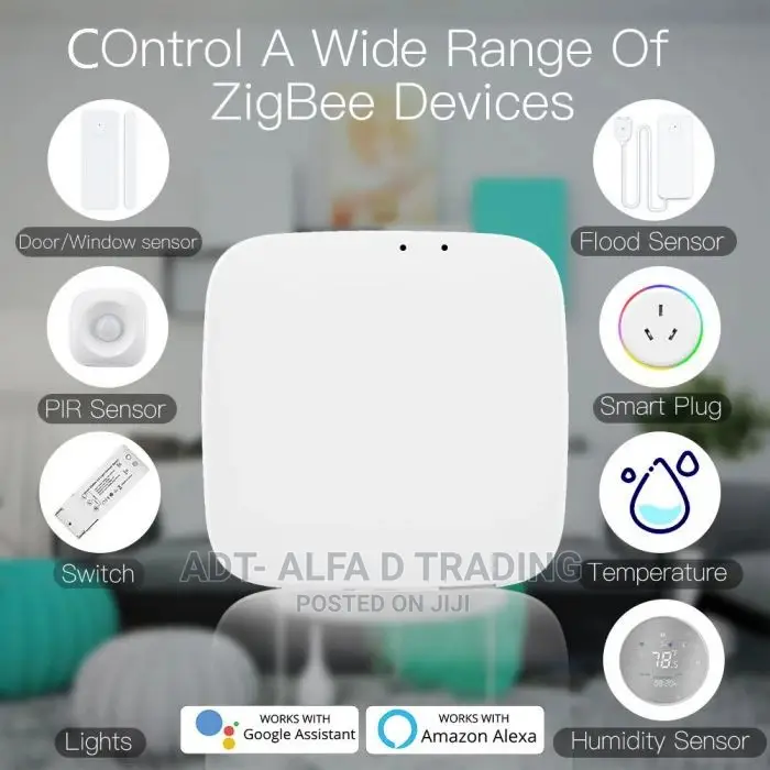 Zigbee Mini Hub/Gateway