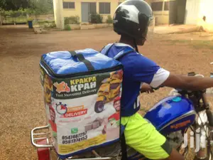 Portable Delivery Bags