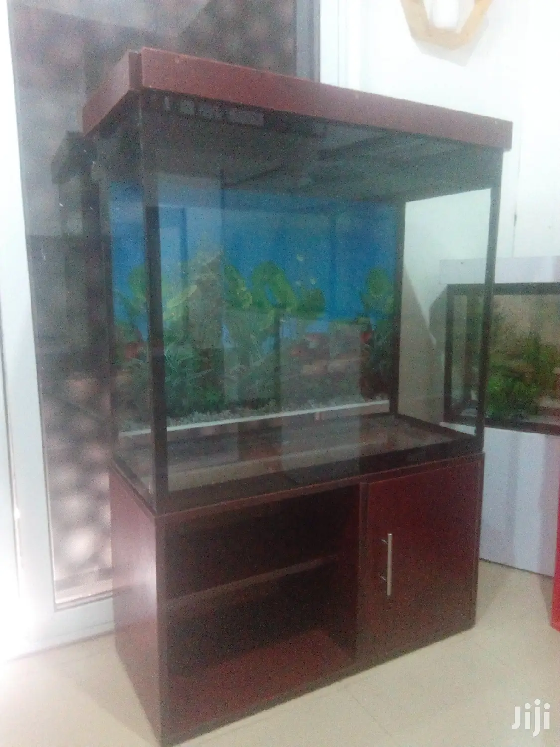 Aquarium With 15fishes