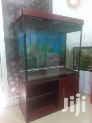 Aquarium With 15fishes