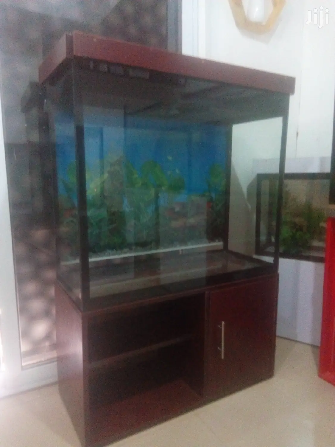 Aquarium With 15fishes