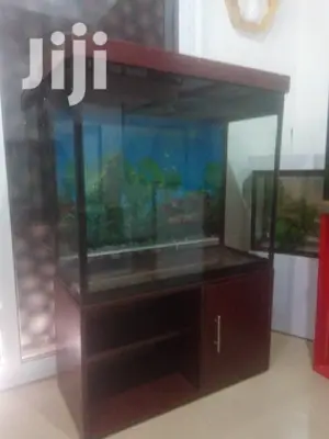 Aquarium With 15fishes