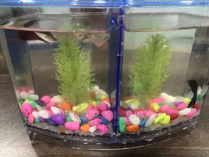 2 in 1 Betta Fish Tank