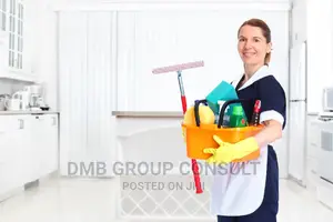 Professional Cleaners in Town
