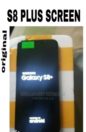 S8 Plus Screen in Frame