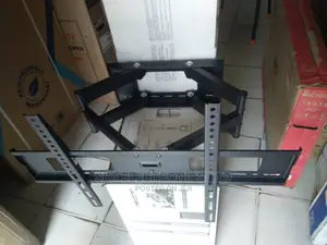 Adjustable Wall Mount