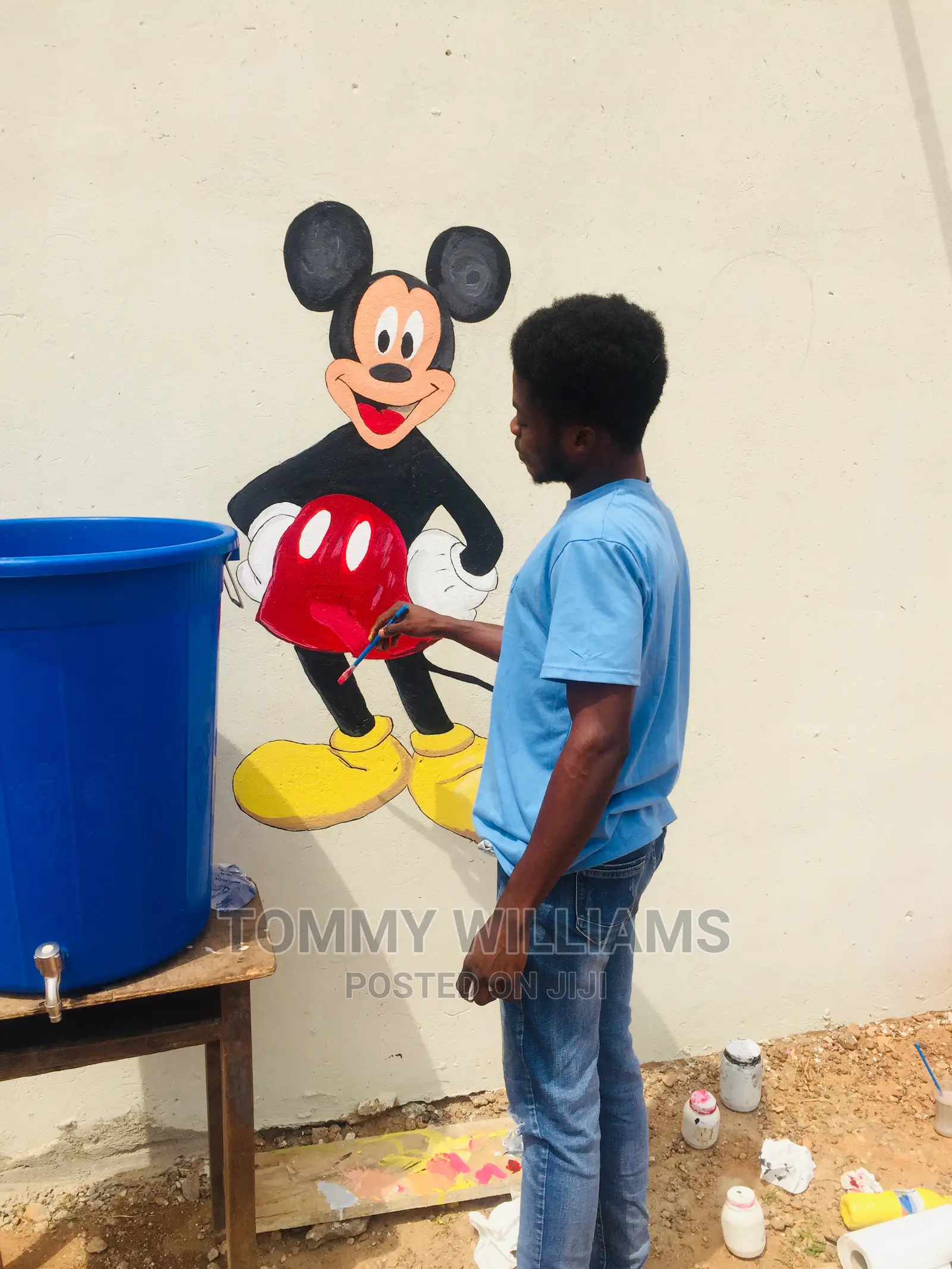Professional Painting and Room Art Works