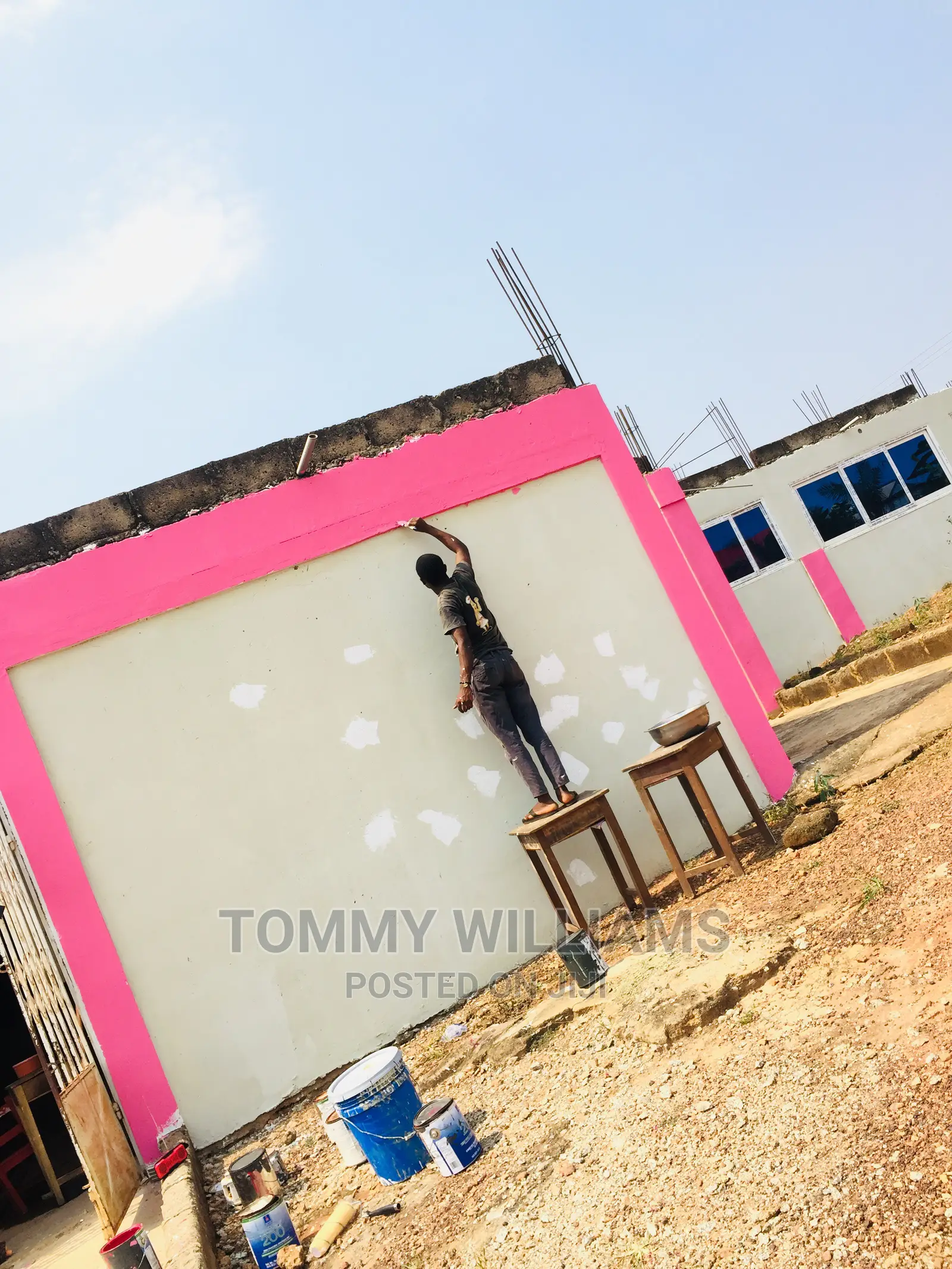 Professional Painting and Room Art Works