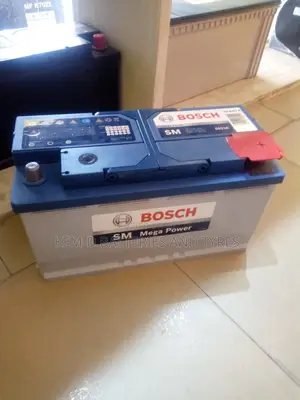 100ah Bosch 19 Plates 12 Volts Battery Free Quick Delivery