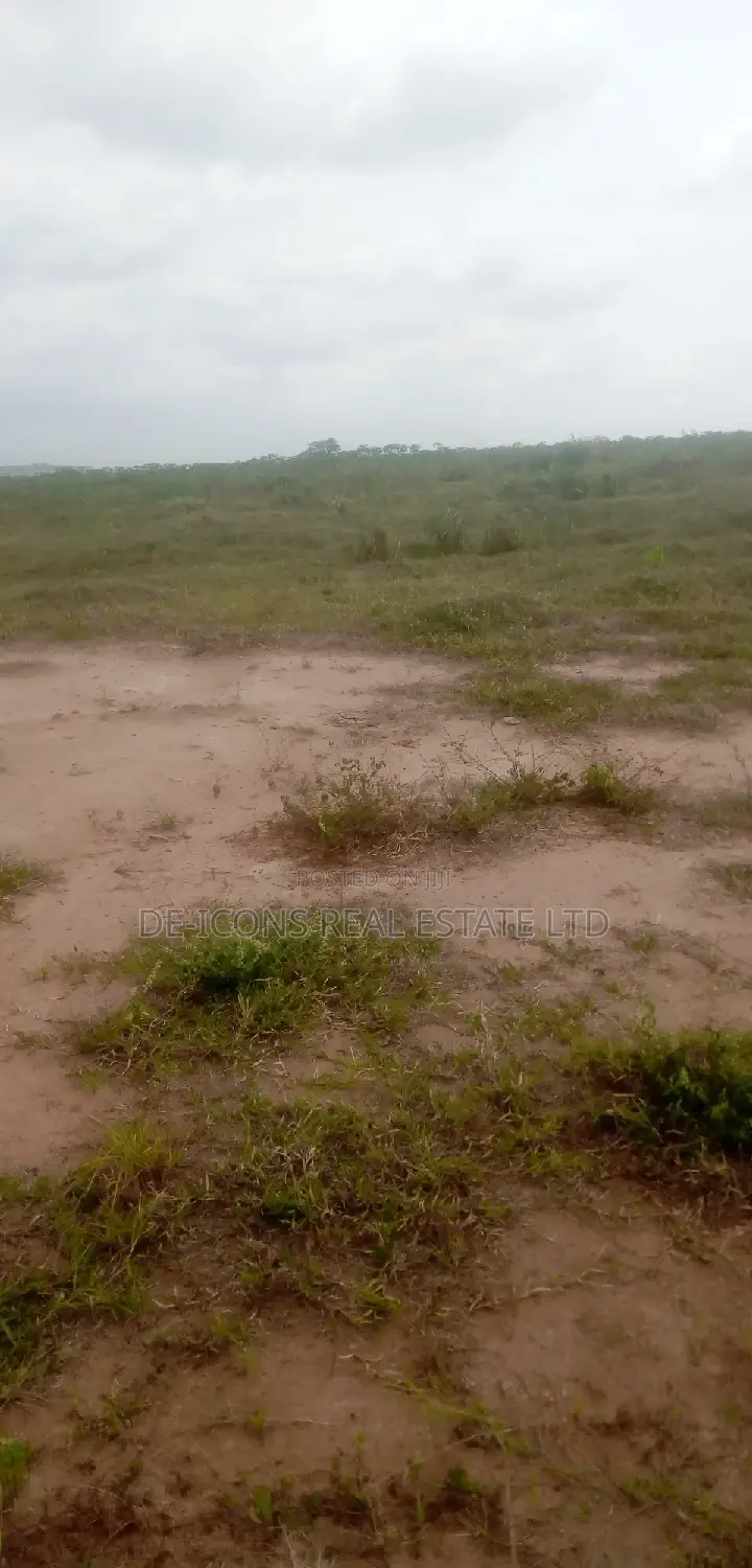 Serviced Real Estate Plots of Land in Kasoa for Sale