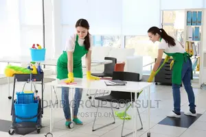Mr. CLEANER Is HERE