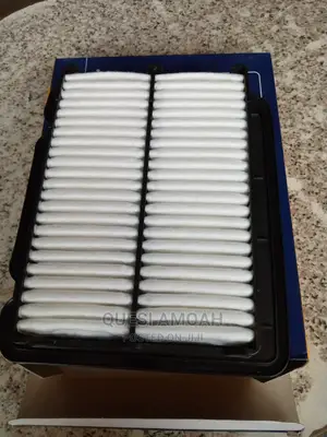 Chevrolet Aveo Air Filter