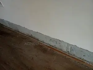 Waterproofing, Wall Dampness, Roof Leakage Repairs Services